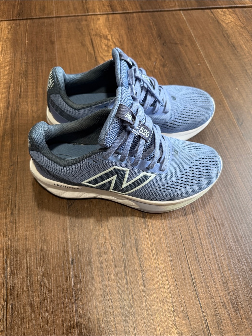 New Balance Women's 520 Running Shoes in Dusty Blue with White Accents